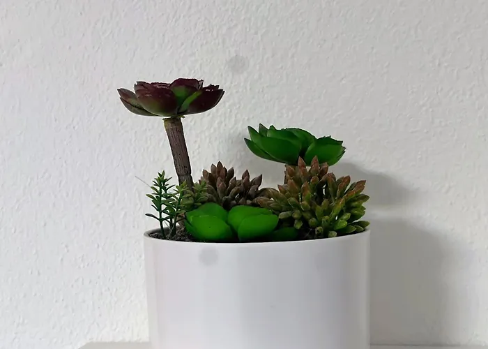 Apartman Blago Center *