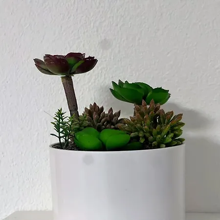 Апартаменты Blago Center *