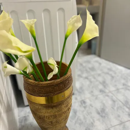 Blago Center * 스플리트